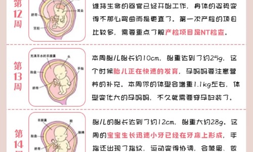 寻麻疹多吃什么水果比较好-寻麻疹病人宜多吃什么网 :分享寻麻疹病人吃什么最好-荨麻疹病人吃什么食物好知识