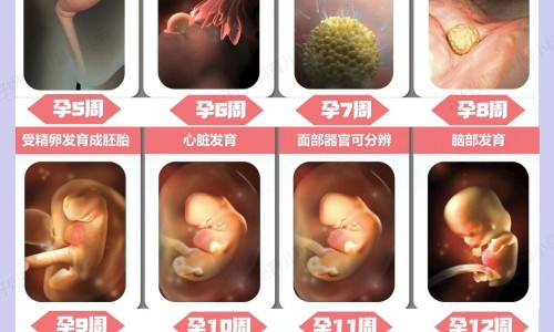 寻麻疹病人宜多吃什么网 :分享寻麻疹病人吃什么最好-荨麻疹病人吃什么食物好知识