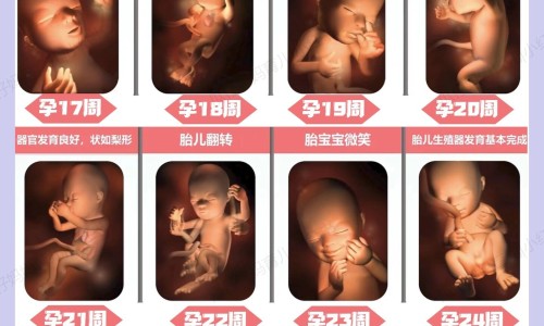 寻麻疹多吃什么水果比较好-寻麻疹病人宜多吃什么网 :分享寻麻疹病人吃什么最好-荨麻疹病人吃什么食物好知识