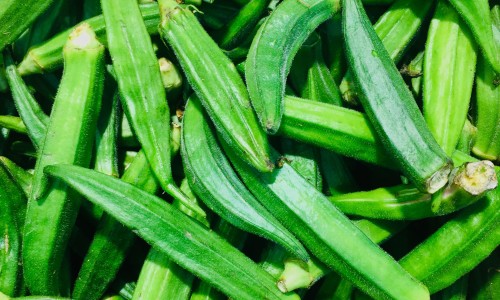荨麻疹多吃点什么食物比较好的-寻麻疹病人宜多吃什么网 :分享寻麻疹病人吃什么最好-荨麻疹病人吃什么食物好知识