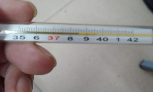 寻麻疹多吃什么食物-寻麻疹病人宜多吃什么网 :分享寻麻疹病人吃什么最好-荨麻疹病人吃什么食物好知识